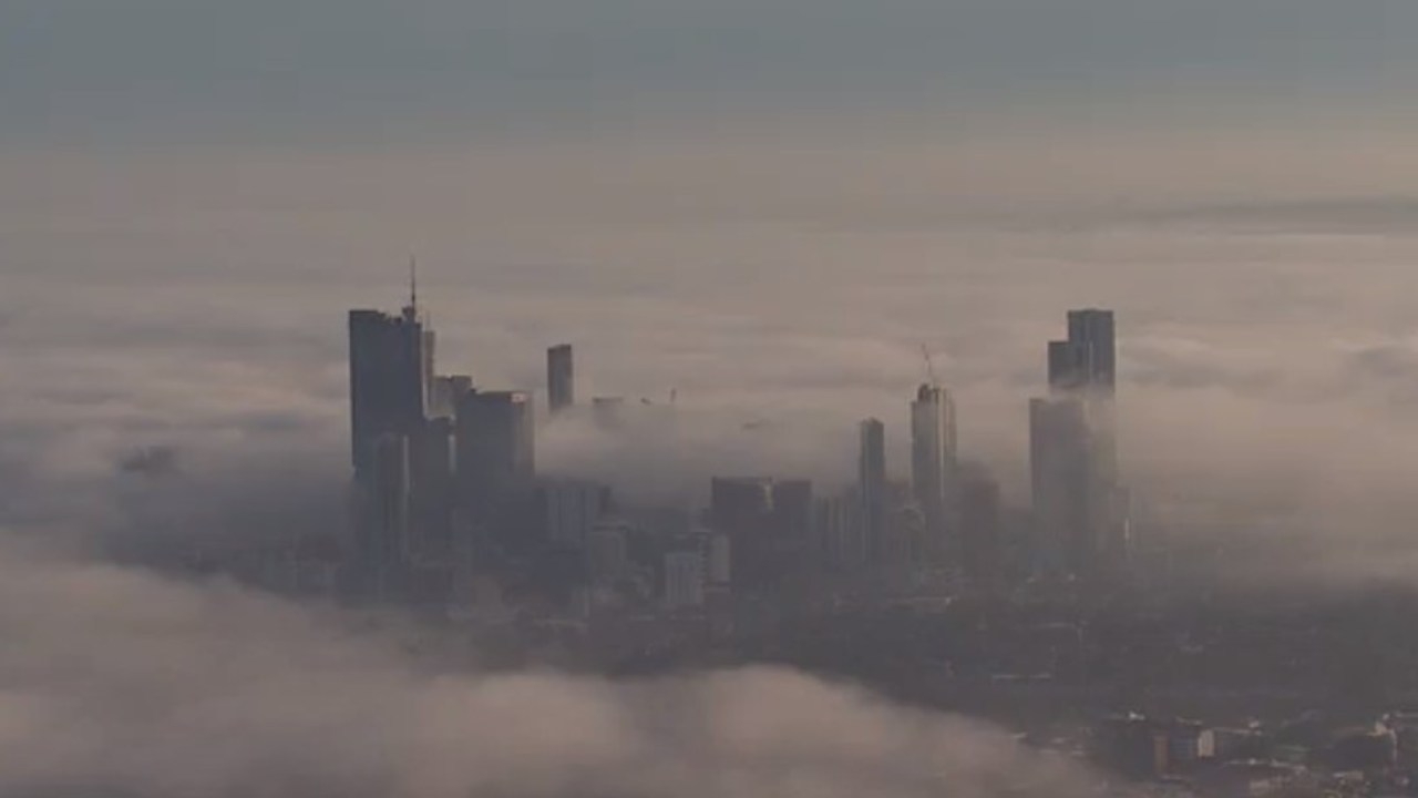 Sydney Airport warns of flight delays, ferry services impacted as Harbour City covered by thick layer of fog