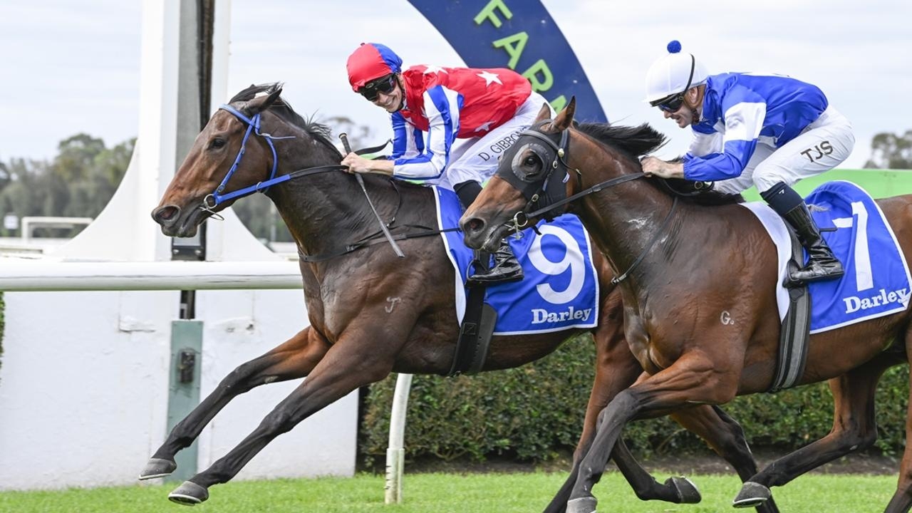 Ray Thomas' Randwick inside mail for Saturday: Trainer David Payne confident of boilover with $61 roughie Sacro Catino