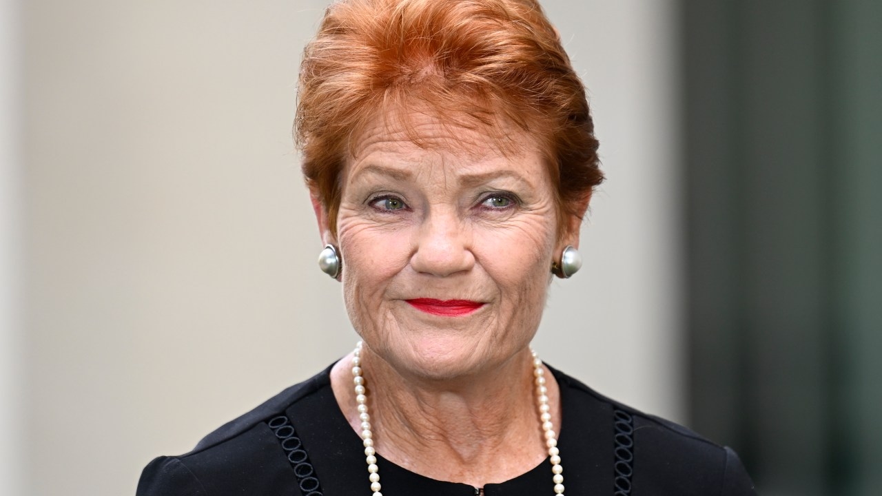 'They taught him this nonsense': Pauline Hanson lashes out over gender education in schools after grandson questions gender