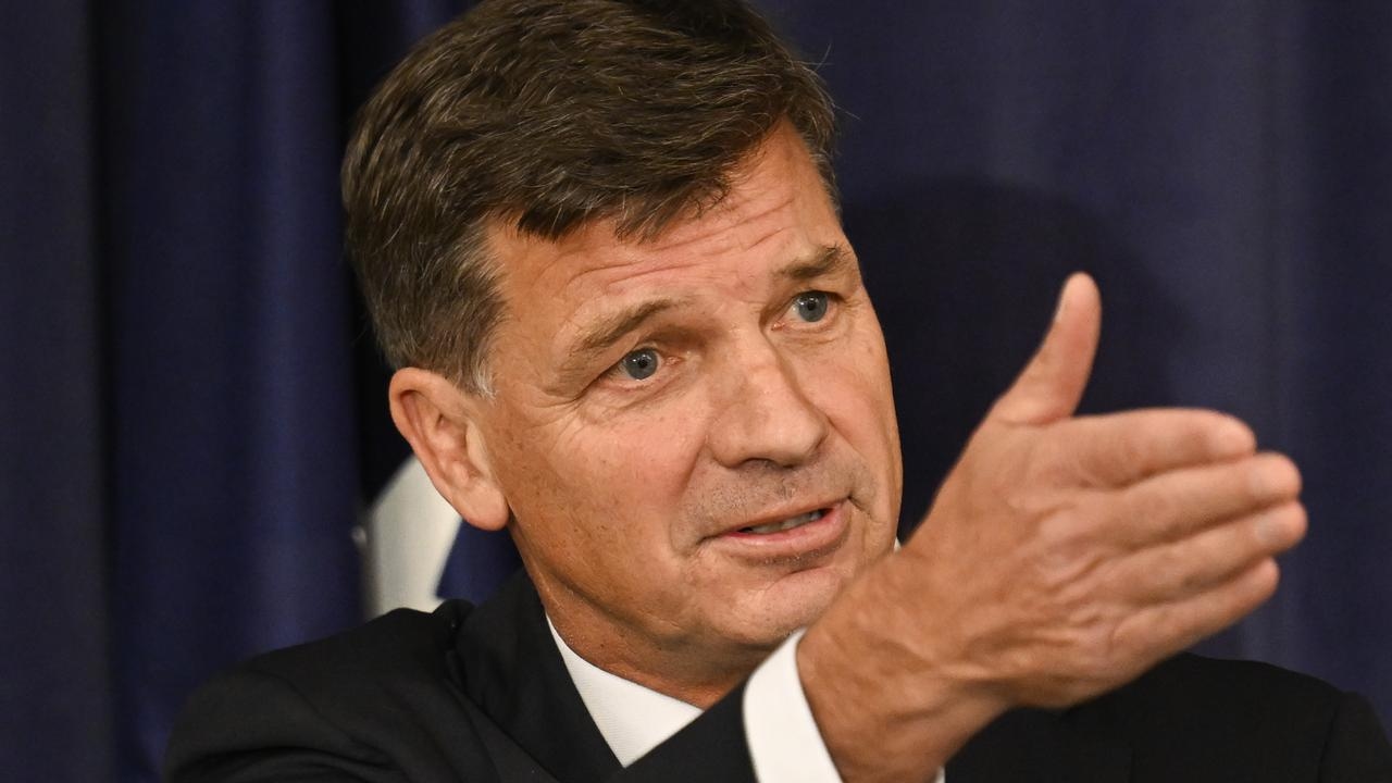Angus Taylor says ‘better ways' to fix Liberal female representation than quotas