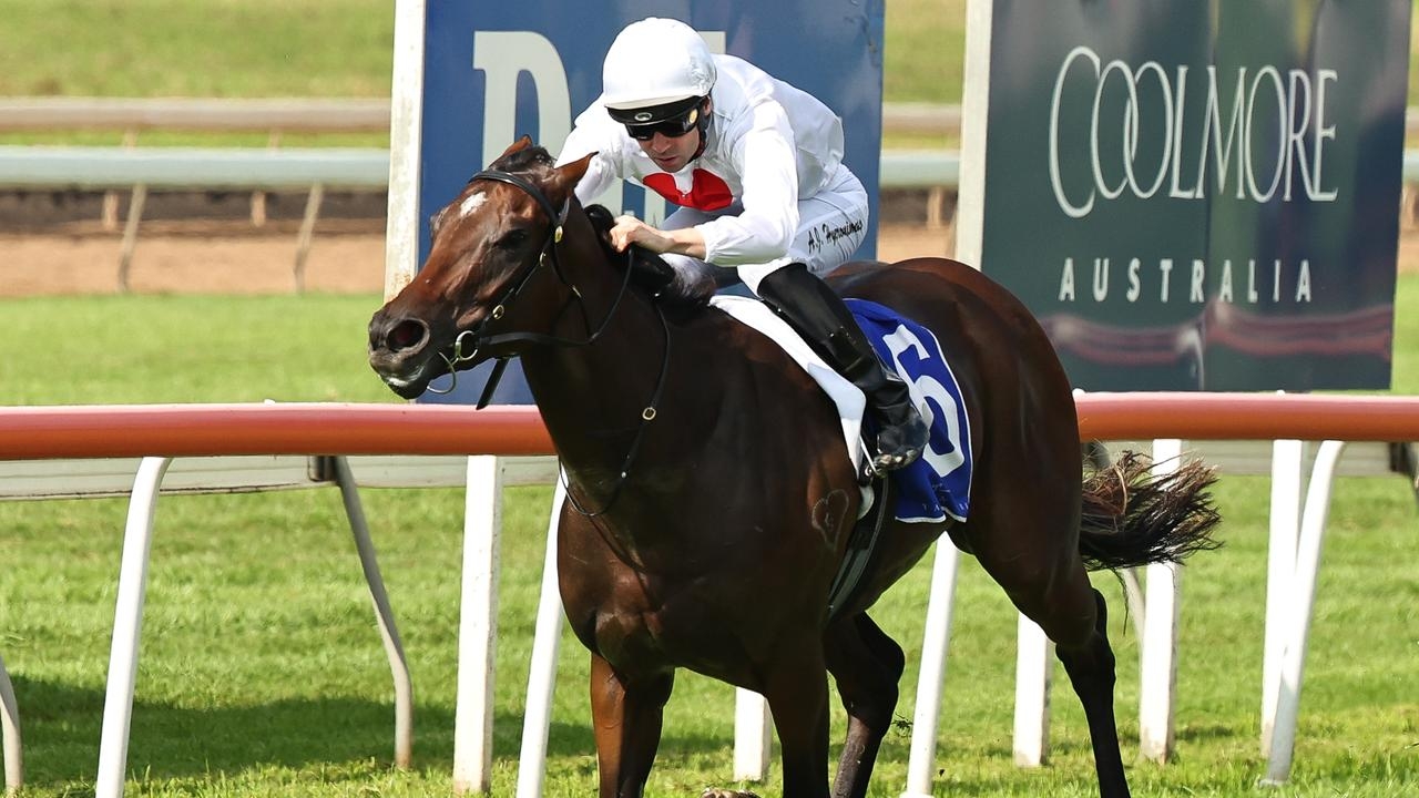 Masterful ride by Adam Hyeronimus helps Stardom to victory in Woodlands Stakes at Scone