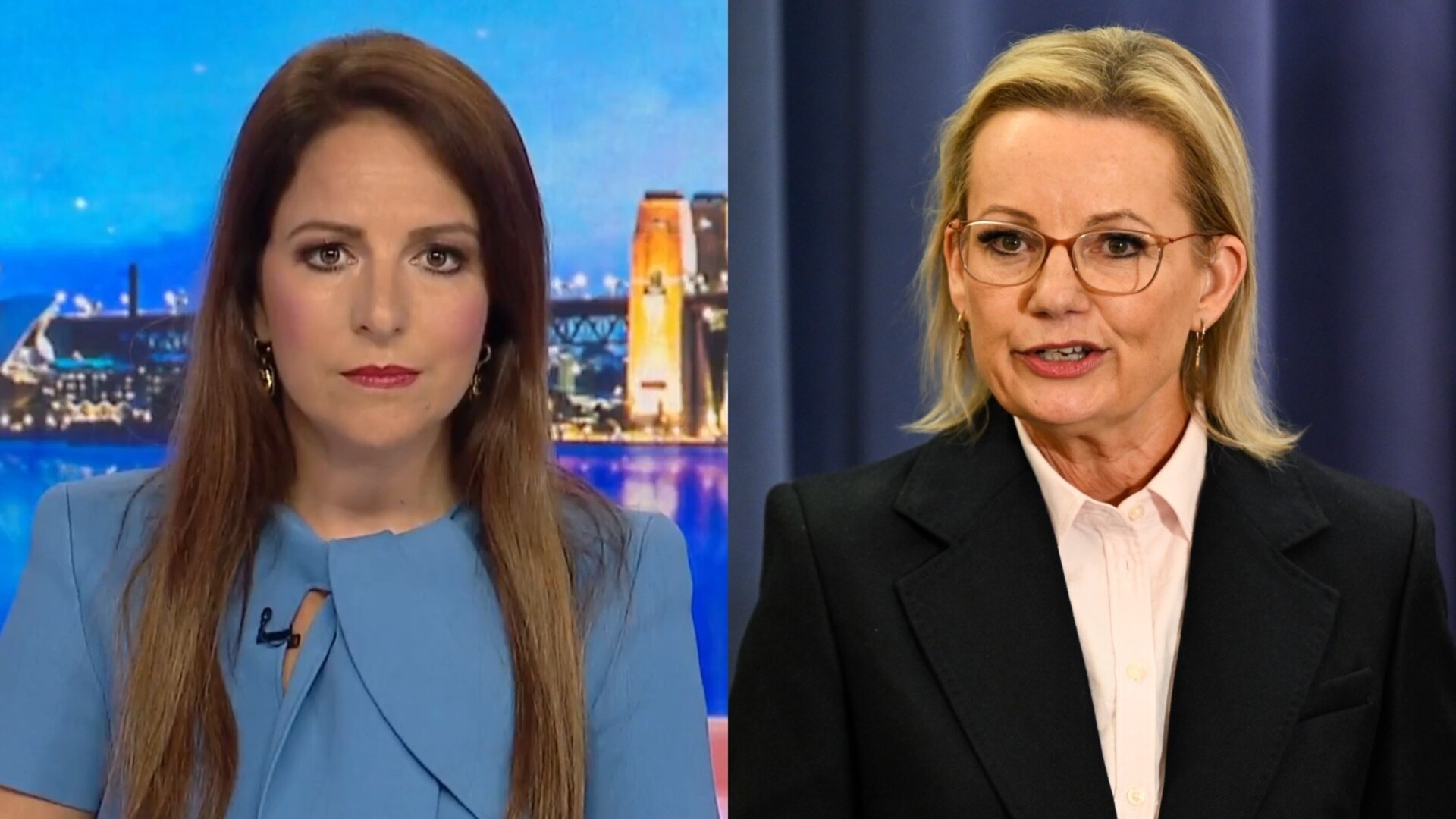 Sharri Markson exposes Sussan Ley for failing to declare trip funded by Palestinian Authority