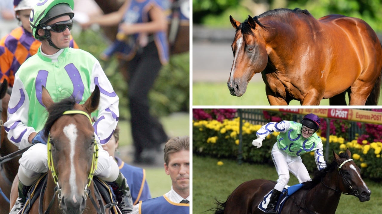 Super stallion Snitzel has died aged 23 leaving behind a remarkable legacy on world thoroughbred racing