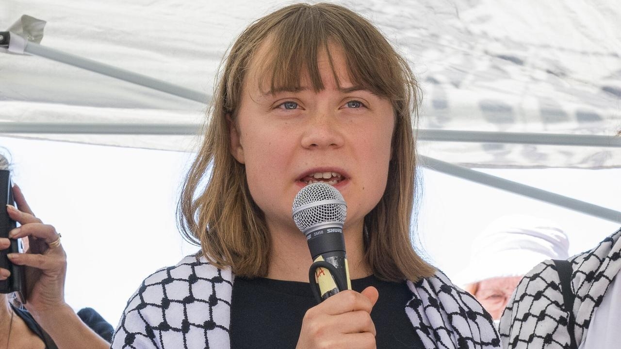 Pro-Palestine protesters demand release of Greta Thunberg outside Albanese's office