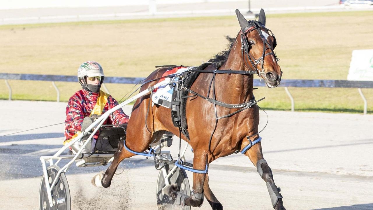 Victorian pacer Fighter Command chasing Eureka slot via The Beautide in Tasmania
