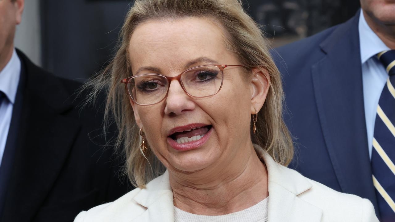 ‘Not important': Liberal leader Sussan Ley dismisses quota criticism in pitch to women
