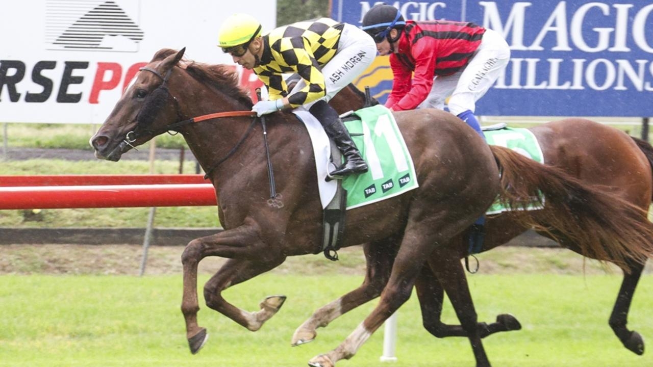 Newcastle best bets, inside mail for Saturday, May 3, 2025