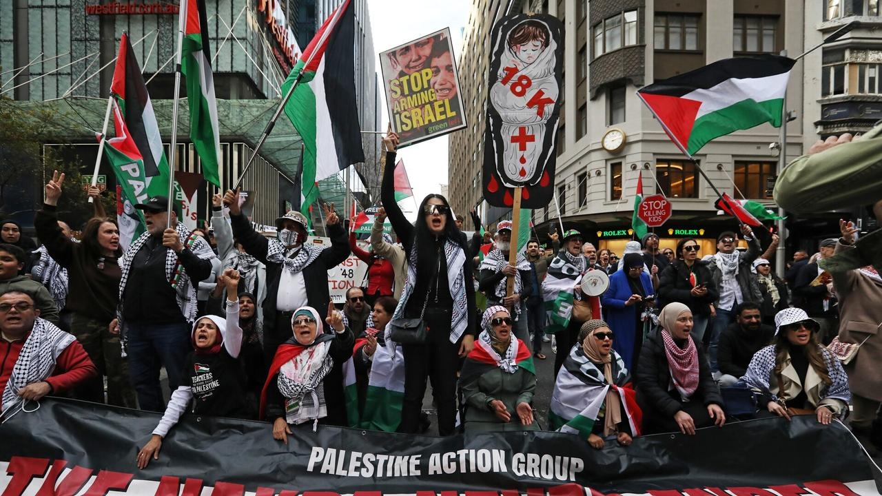 Pro-Palestine protesters don't have ‘deep knowledge' of the conflict