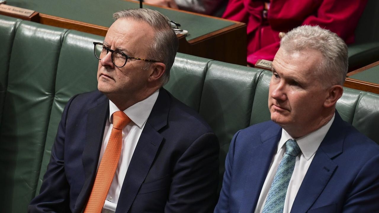 Tony Burke under fire for banning Israeli politician Simcha Rothman