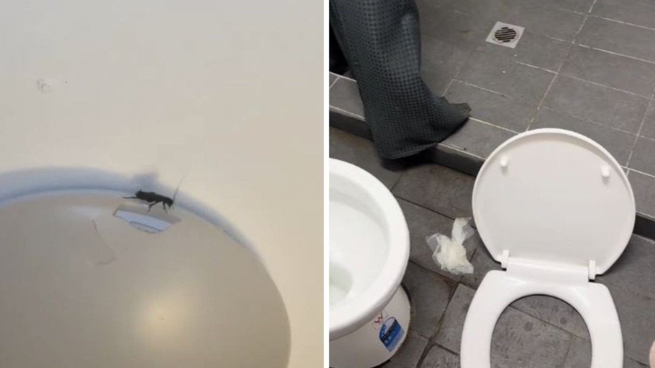 Aussies shocked by price of roach-infested Sydney rental