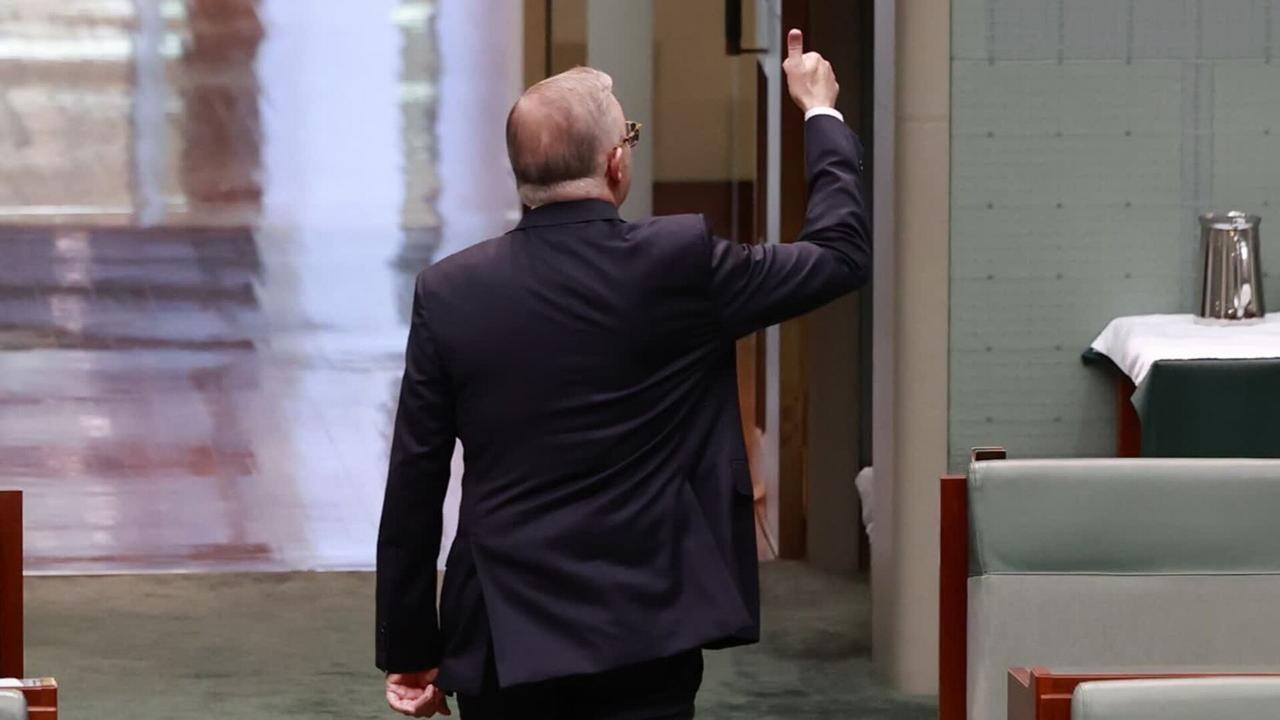 ‘Australia has a lot of politicians': Yet another pay rise under the Albanese government
