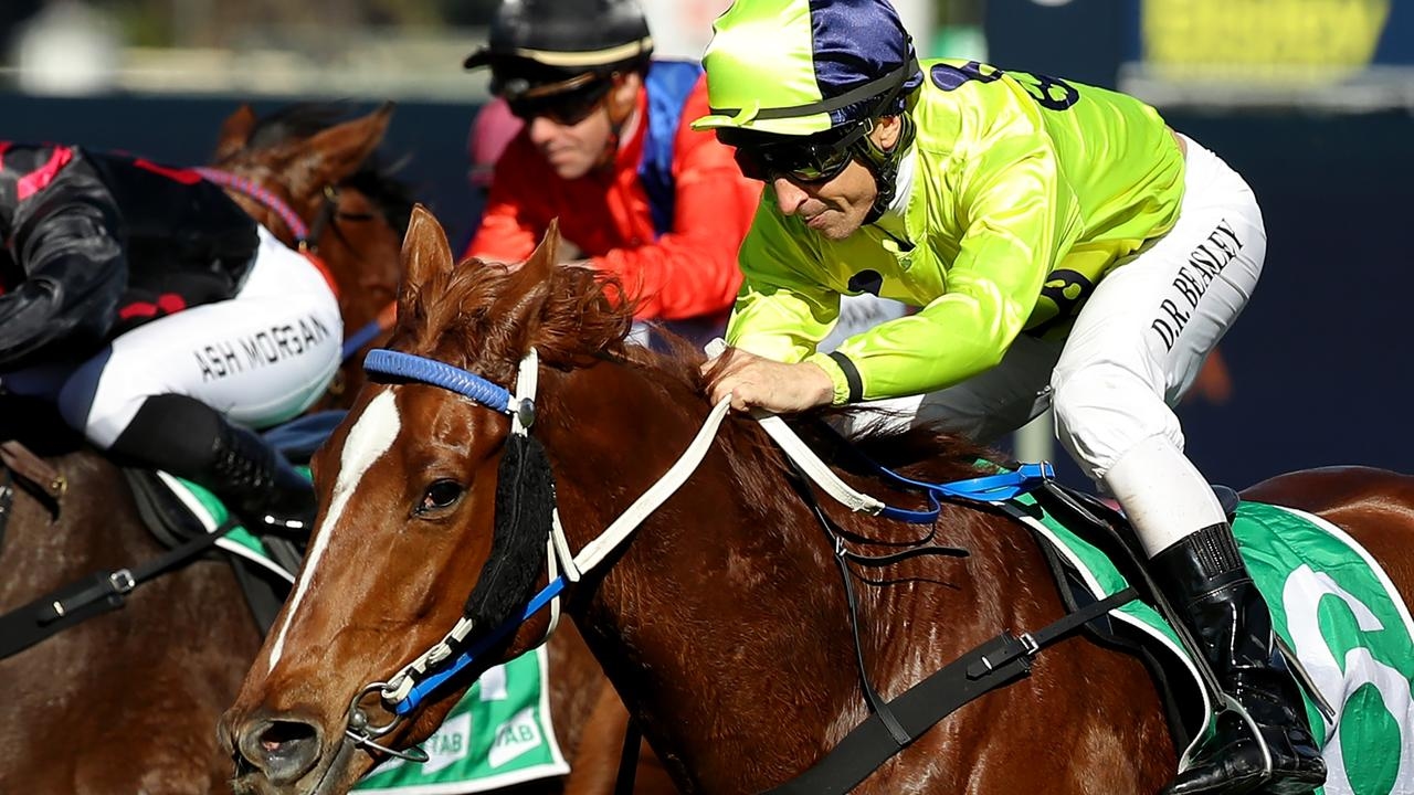 Wagga Riverside preview: Carroll's gelding can Salute Again on Monday
