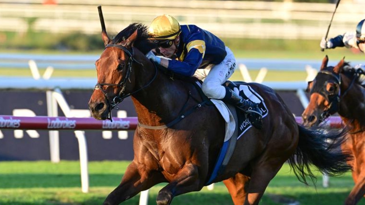 2025 Stradbroke Handicap barrier draw boosts Ben Hayes' confidence with favourite