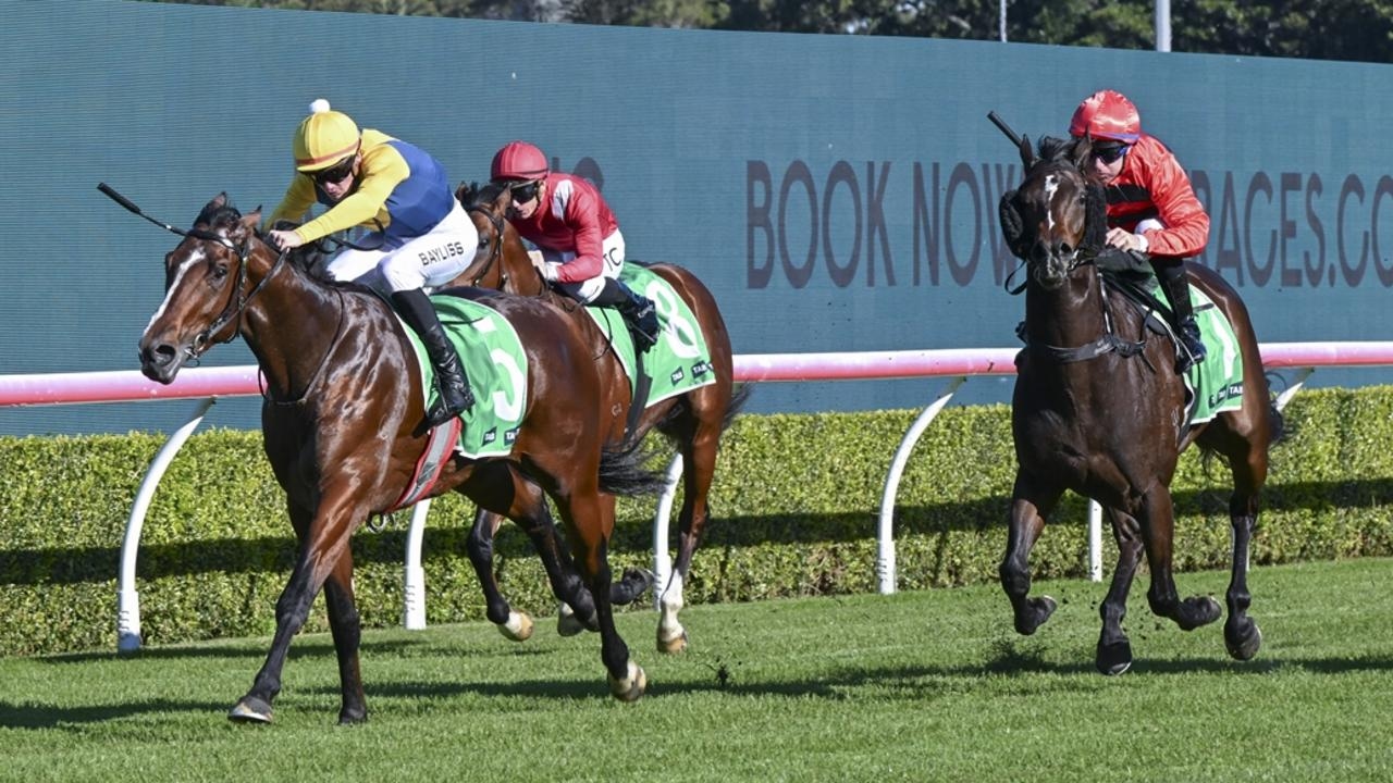 Hawkesbury preview: Will Freedman finds suitable race for Cold Brew to score maiden win
