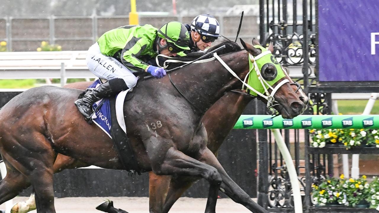 South Australian Derby could be next for American Wolf after VRC St Leger win