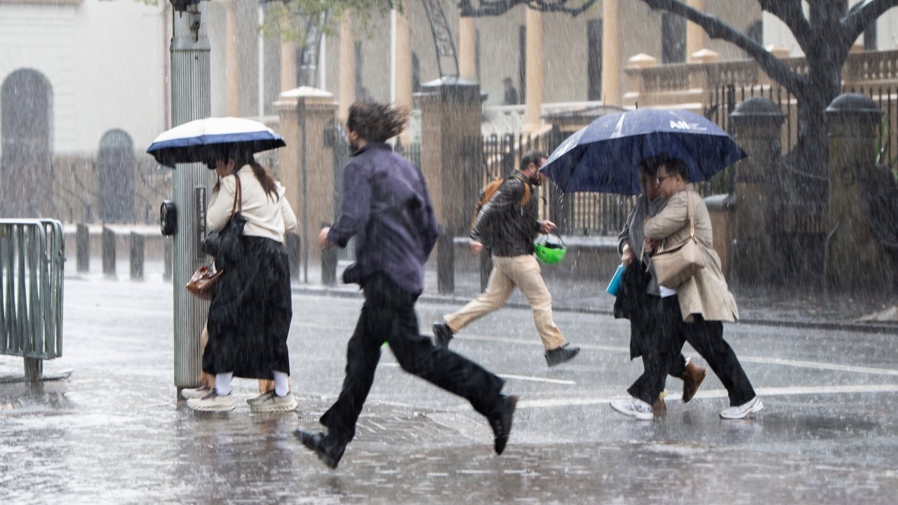 NSW coast set to be lashed by cold fronts later this week as Sydney experiences wettest start to August in nearly a decade