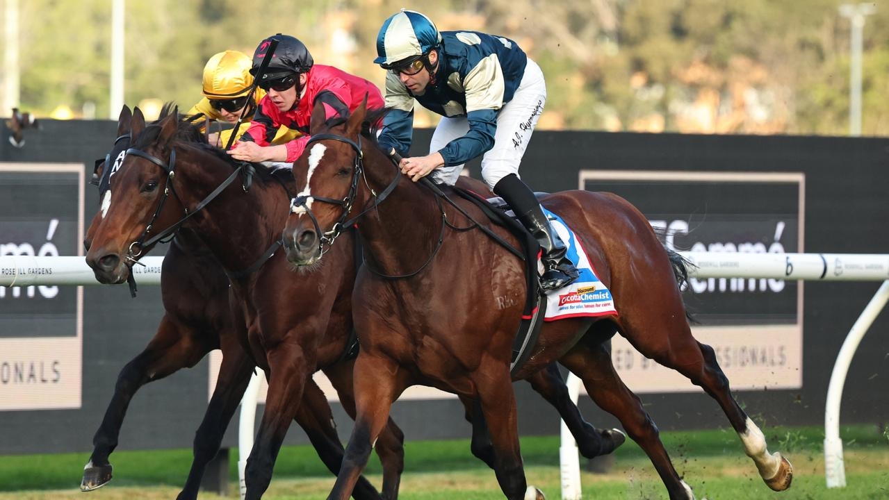 Sir Lucan defies odds to secure second Winter Cup
