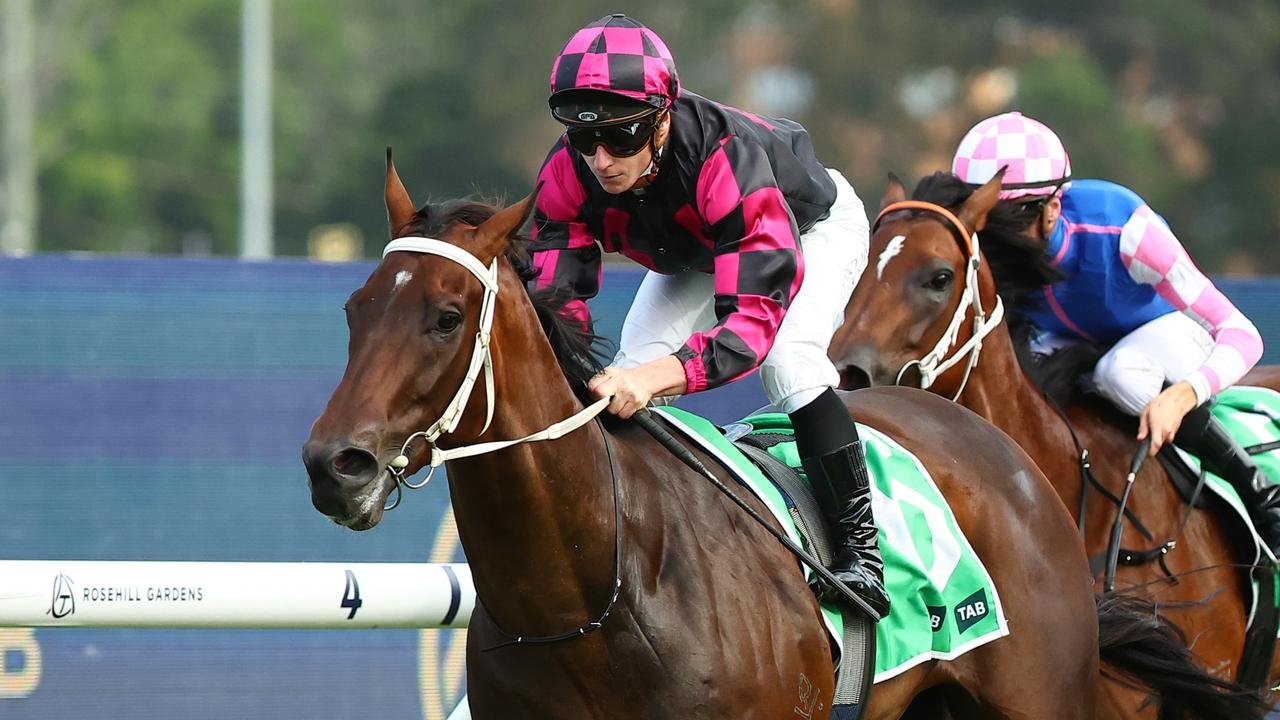 Rosehill inside mail: Our Kobison can revive winter fortunes in July Sprint