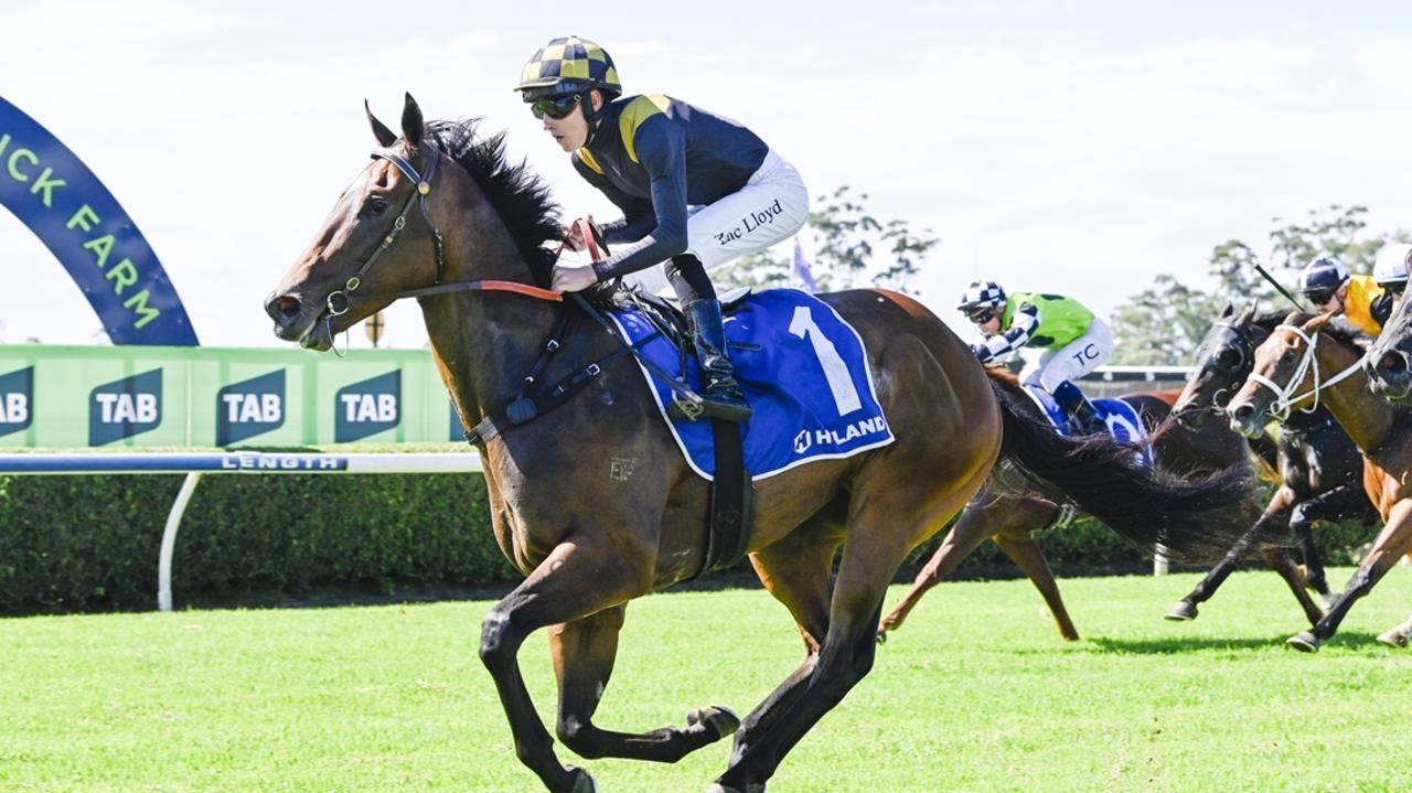 Kensington, Gosford previews: Trainer Bryce Heys' ‘Super' judgement is paying dividends with the promising Engine Room