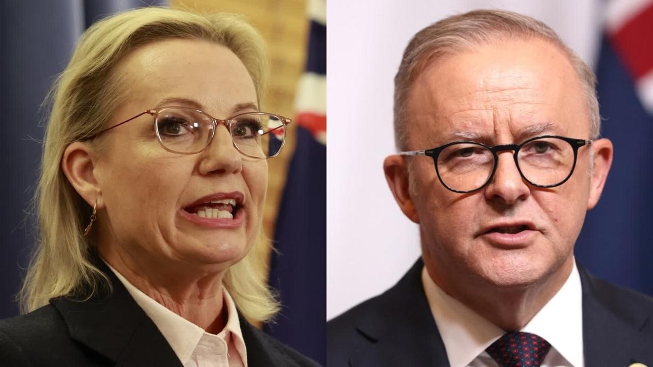 ‘There is a better way': Sussan Ley hits out at Labor's renewable charge