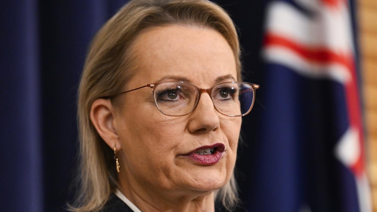 Sussan Ley said Liberals ‘didn't get it right' with Chinese community during federal election