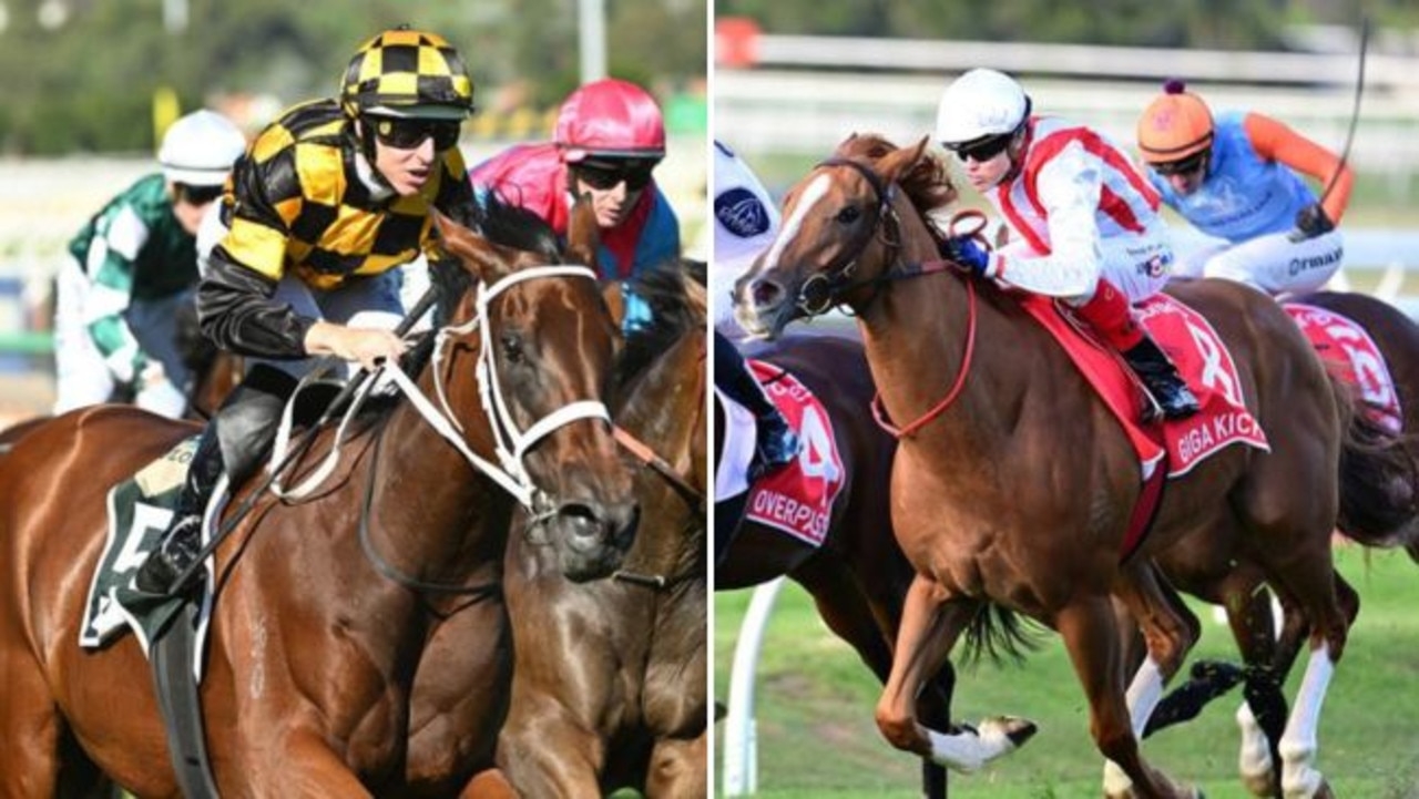 Giga Kick trainer Clayton Douglas queries Joliestar ‘best horse' tag in Group 1 Kingsford Smith Cup