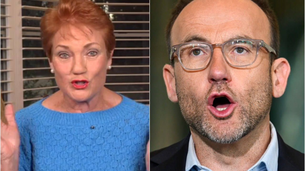 'I am so excited': Pauline Hanson says Greens leader Adam Bandt set to lose his Melbourne seat 'best news I've heard'