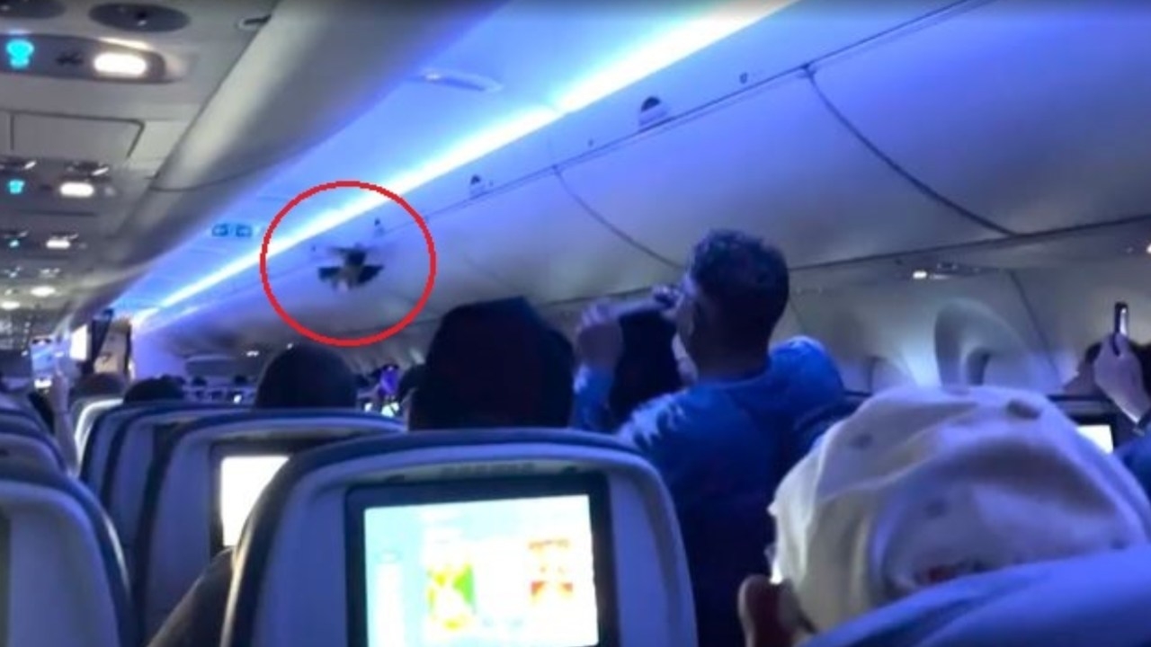Delta flight thrown into chaos as stowaway pigeons storm cabin at Minneapolis-Saint Paul International Airport