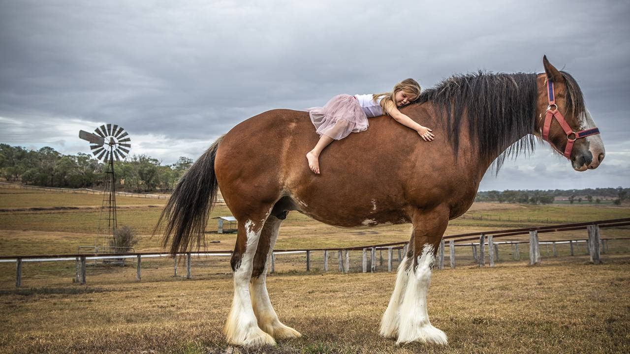 Biocurious: Dimerix could be riding big and beautiful kidney drug success earlier than expected