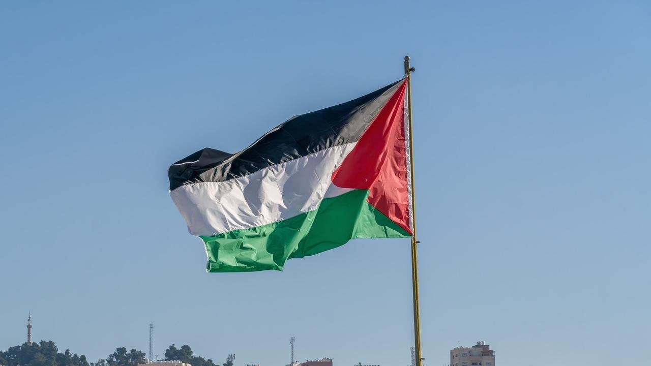 ‘Practically impossible': Calls for recognition of Palestine slammed