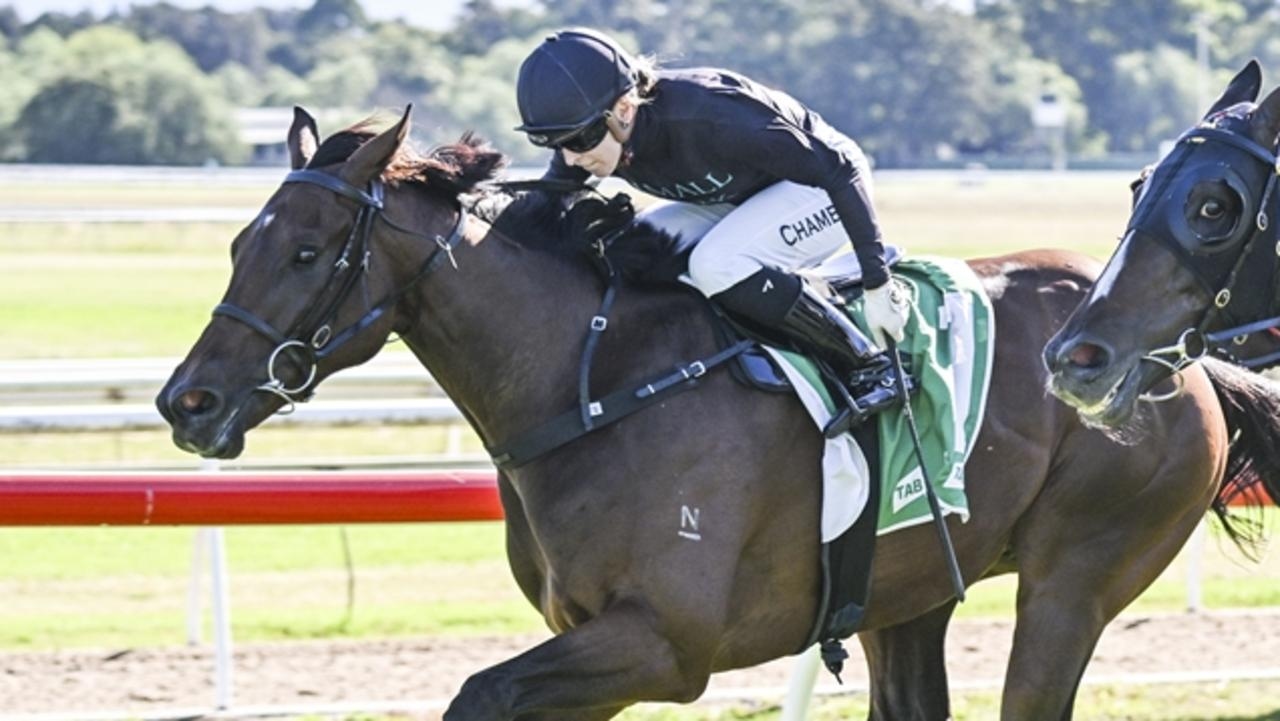 Taree preview: Allen Kehoe old-timer has new lease of life
