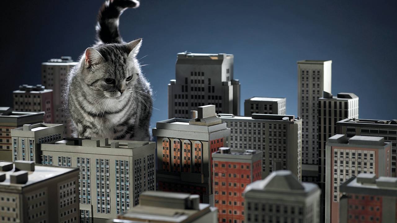 Criterion: With declining rates, the marked-down REITs sector is starting to purr