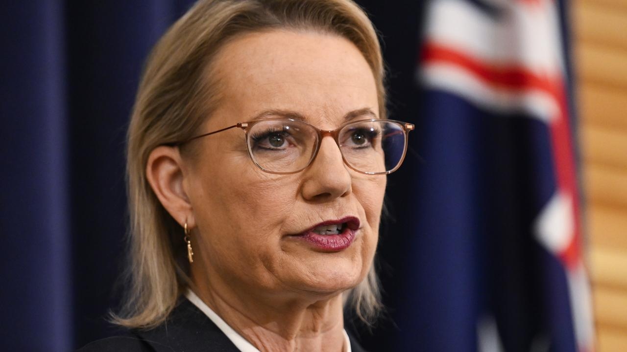 Sussan Ley to hero 'aspirational Australians' in first NPC address as Liberal Leader