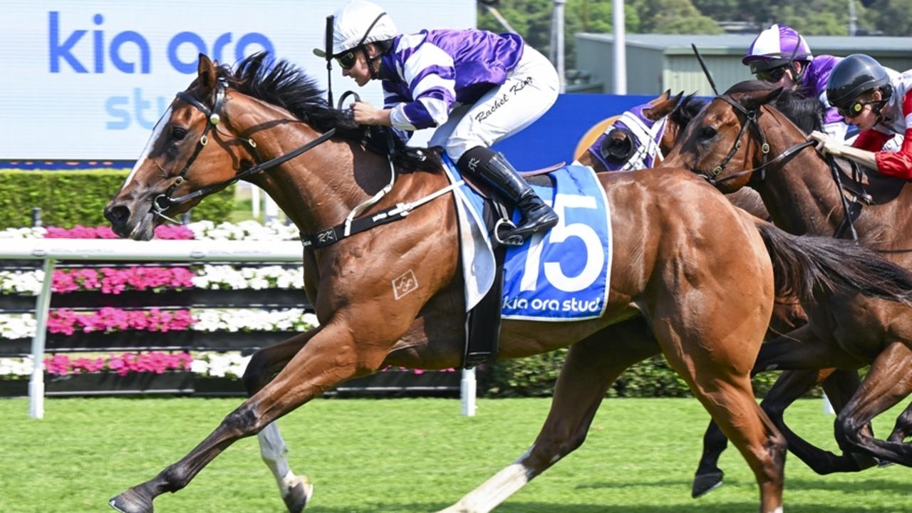 ‘Aim up against the boys': Queensland Oaks-bound filly Churchill's Choice to excite in Queensland Guineas