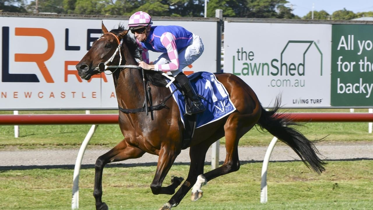 Kris Lees hoping Tavi Time can take the first step towards Big Dance redemption with victory in the Hawkesbury Gold Cup