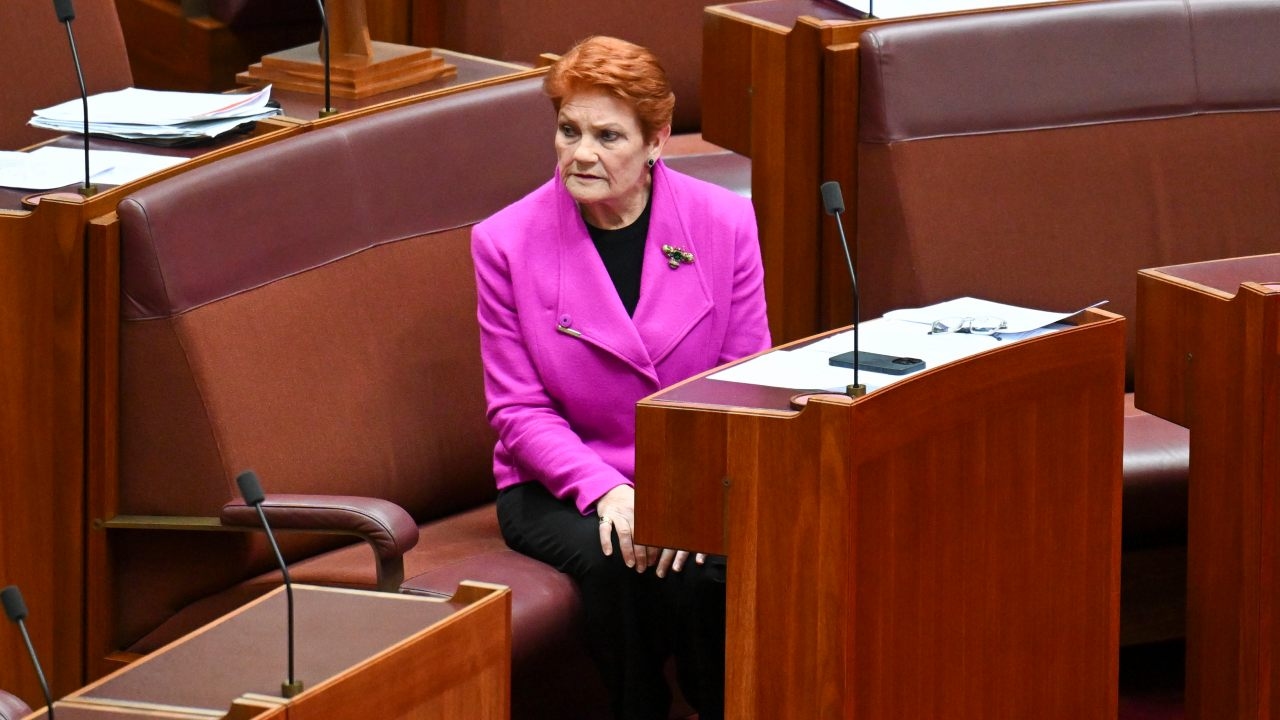 One Nation leader Pauline Hanson brands majority of Liberals 'gutless' and 'cowards' after net zero motion fails on Senate floor