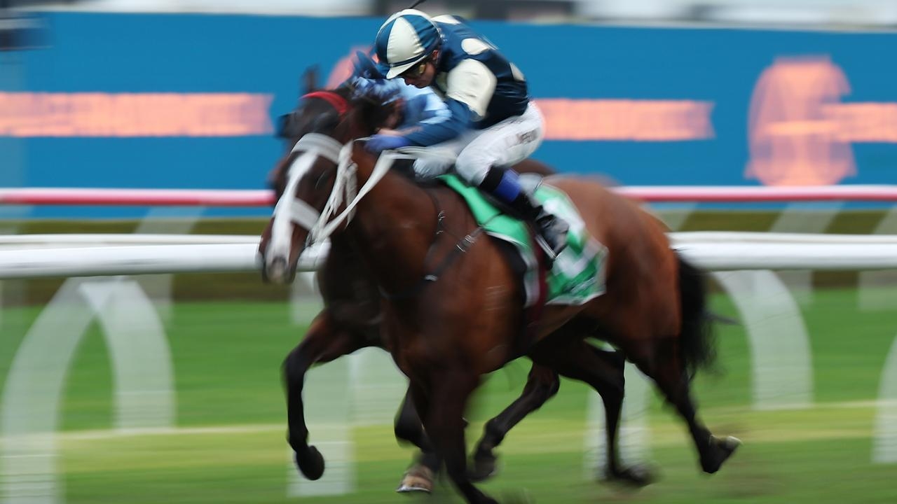 Ray and Duff's race-by-race tips, analysis for Scone on Saturday: $8.50 value bet