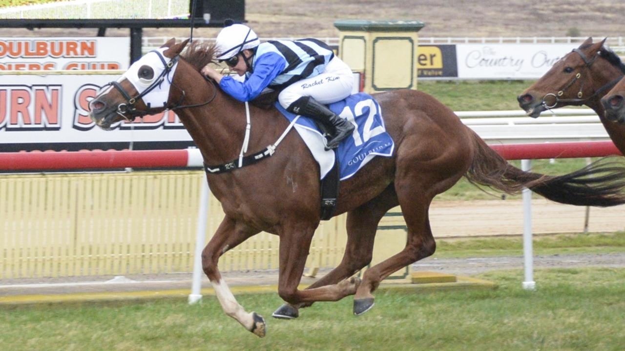 Tamworth preview: Green Shadows is chasing gold in Tamworth Cup