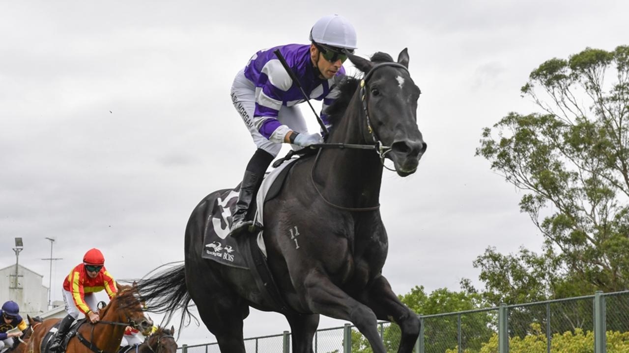 Newcastle preview: Doyle's promising filly Sosueme to bounce back