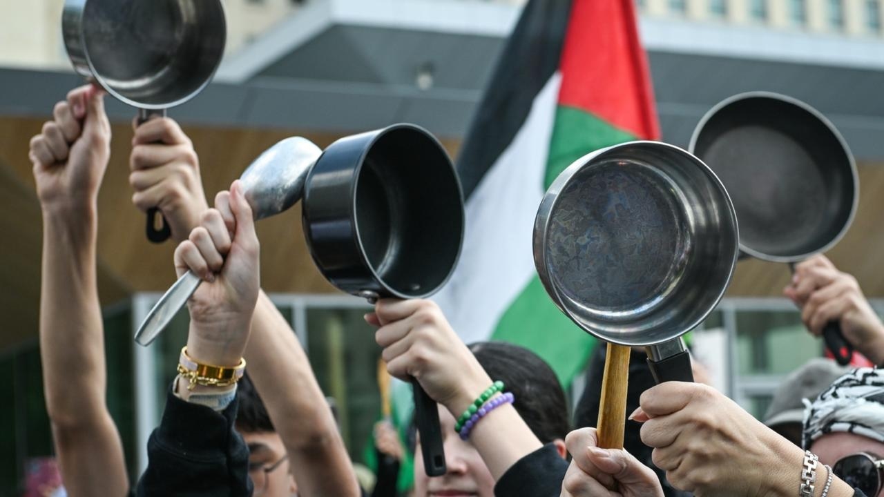 Labor Party accused of letting Hamas supporters into Australia through a ‘sneaky way'