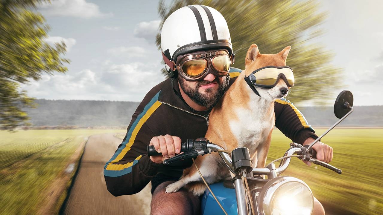 Stock Tips: A gold player, a blue-chip beast and bikes rev up this week