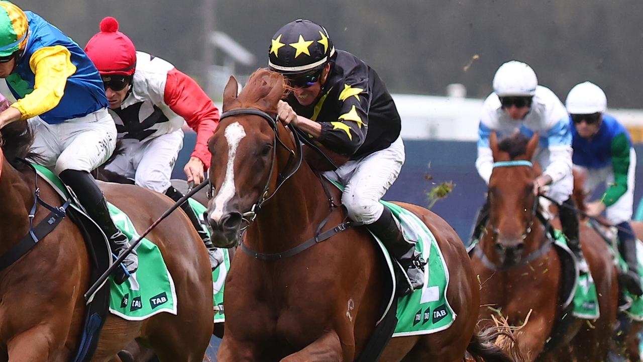 Trainer Matt Dunn insists best yet to come for six-year-old Belvedere Boys