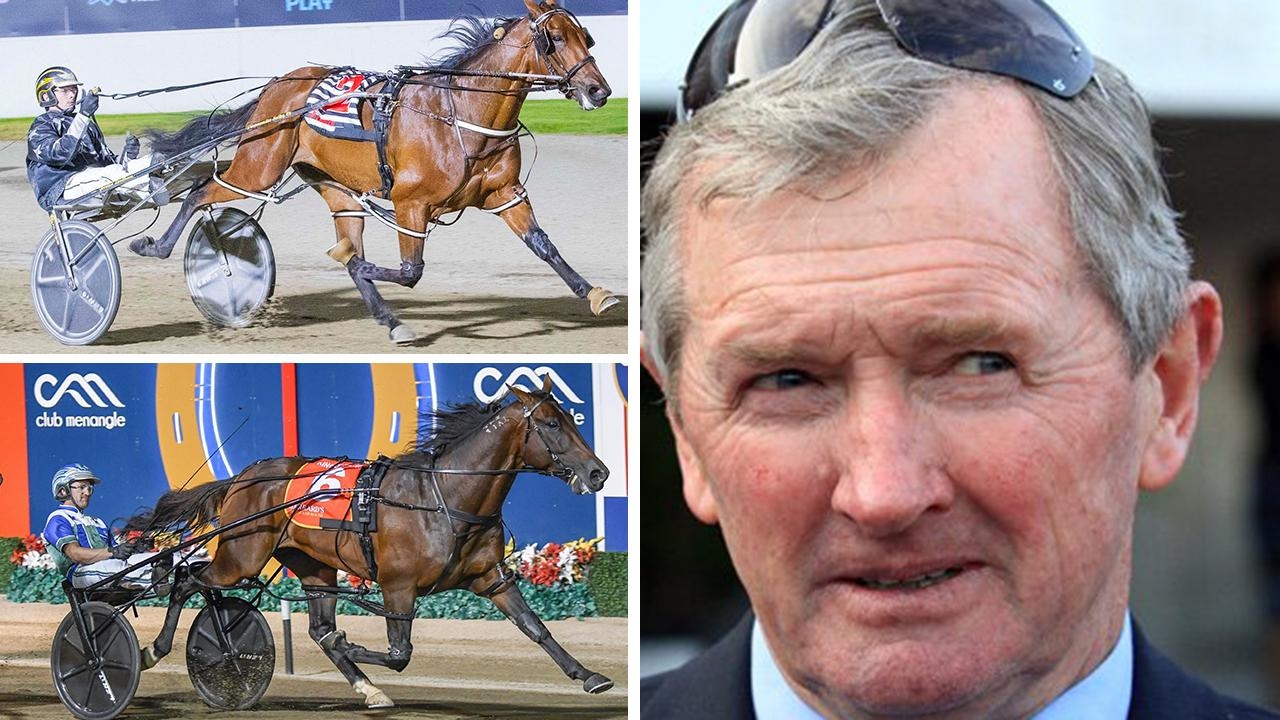 Thoroughbred trainer John Hawkes has a Queensland Derby harness racing contender in Seathestars