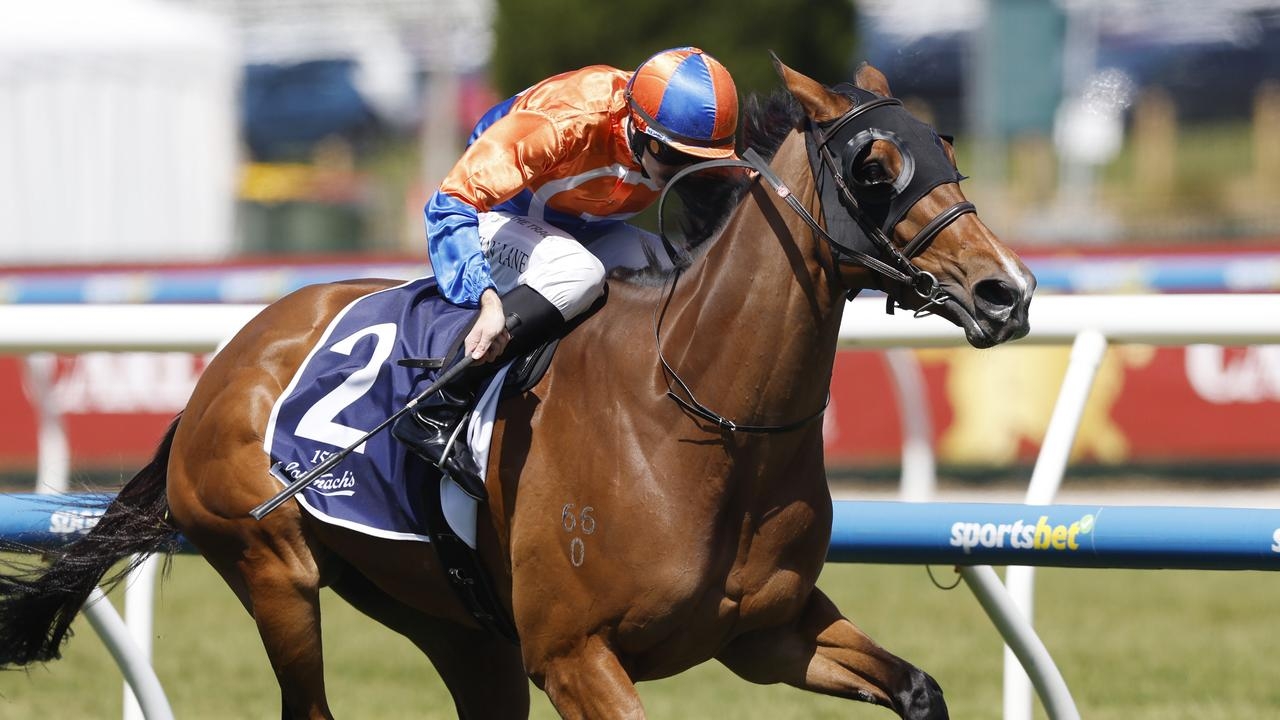 Yulong chases quick return on Grinzinger Belle investment in Group 1 Tattersall's Tiara at Eagle Farm