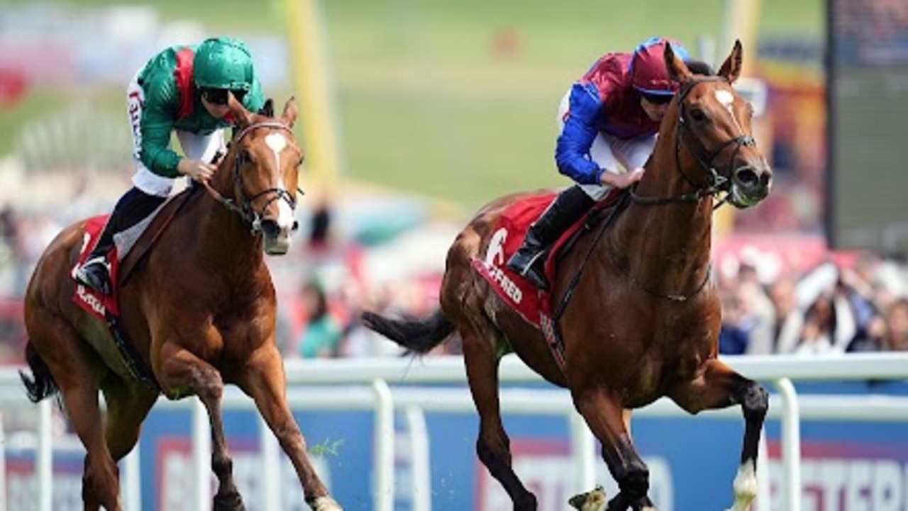‘Biggest certainty ever for the Melbourne Cup': Aidan O'Brien takes another swipe at Jan Brueghel scratching after Coronation Cup success