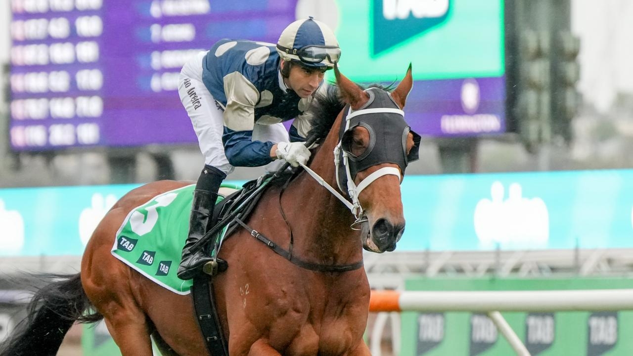 ‘It's someone else's turn': Ozzie Kheir out to deny Annabel Neasham fifth straight Hollindale Stakes success with Buckaroo