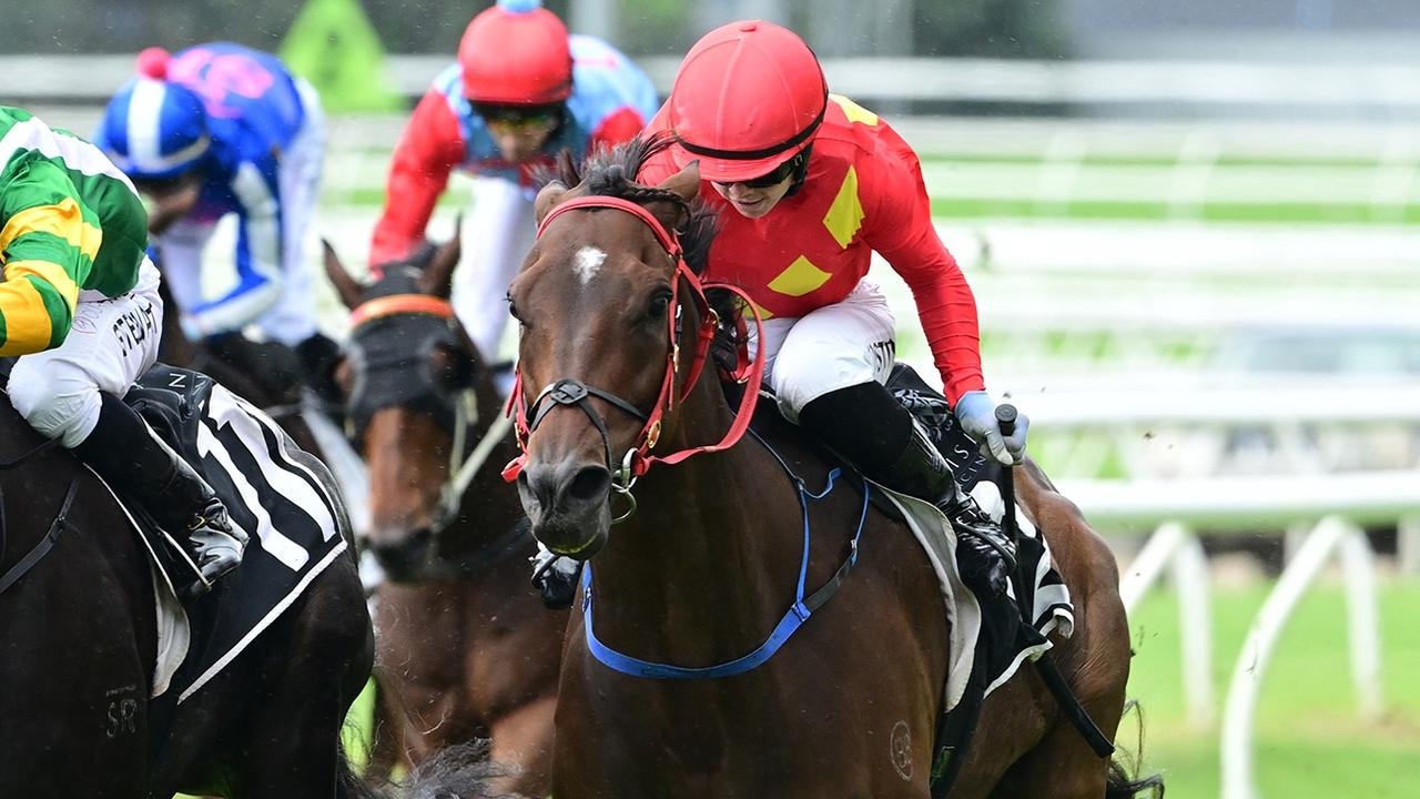 Trainer James Ponsonby saddles up Philipsburg at Randwick