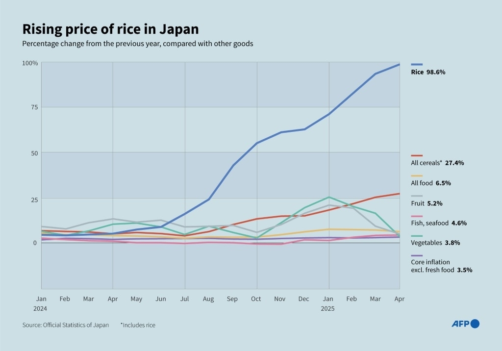 Rice prices Japan's hot political issue, on and off the farm