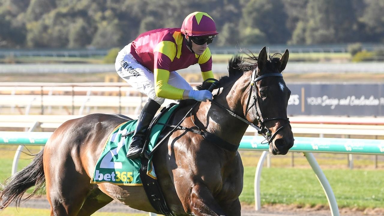 Unbeaten filly sprinter Fieldelo faces Flemington test on Saturday