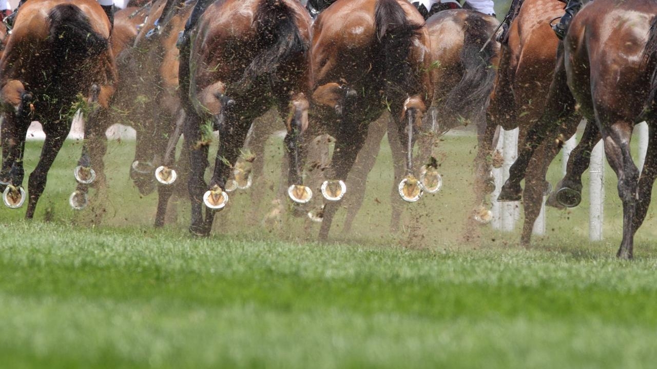 Queensland Racing Integrity Commission lawyer says video ‘crystal clear' on animal cruelty allegation against Chris Wearne